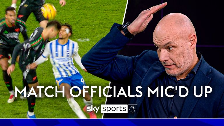 條適合親子 條適合親子